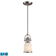  66161-1-LED - MINI PENDANT