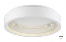  E35001-MW - iCorona FoH-Smart Light